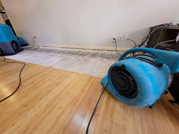 Professional Emergency Water Damage technician working in Townsend, DE